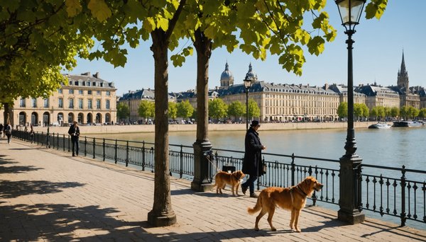 Bordeaux est-elle une bonne ville pour emménager avec un chien ?